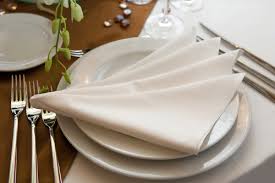 Design 1 Napkin